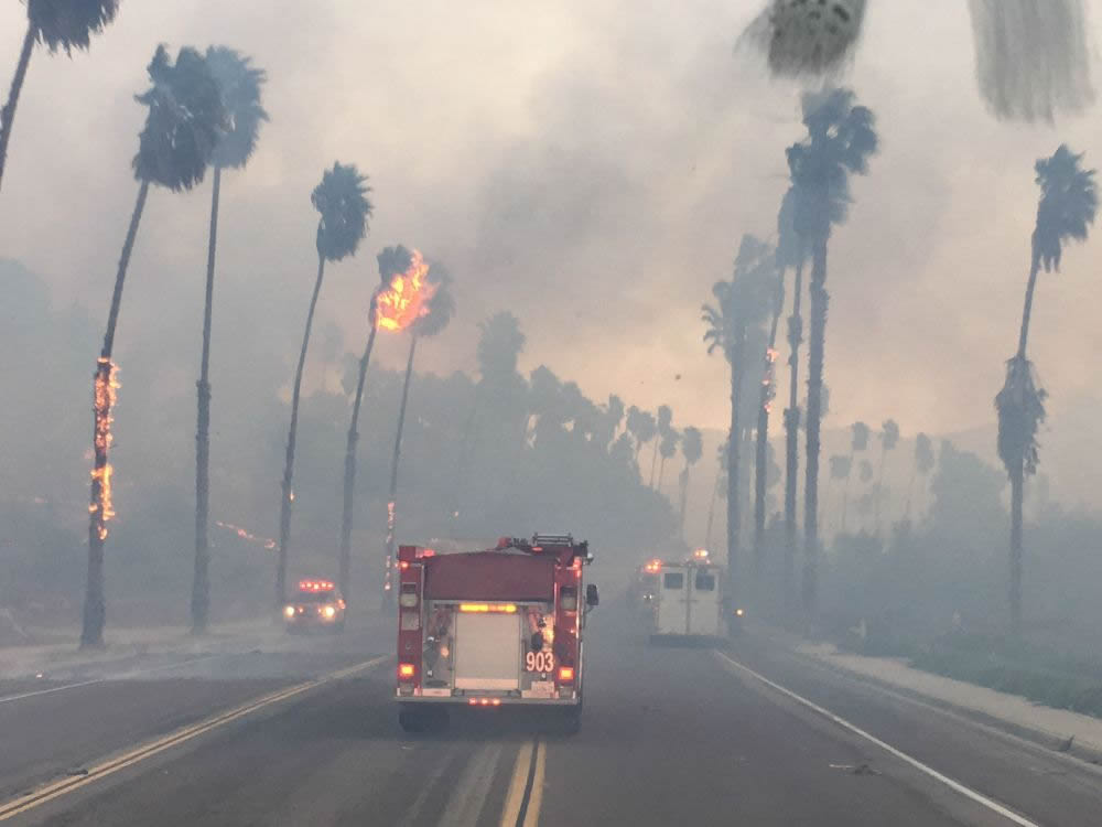 Fire department hero